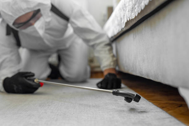 Professional Bed Bug Control technician working in Modesto, CA