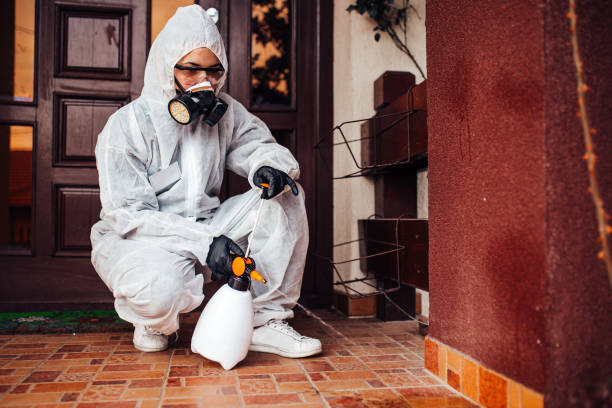 Reliable Bed Bug Control contractor in Modesto, CA by Nex Pest Control